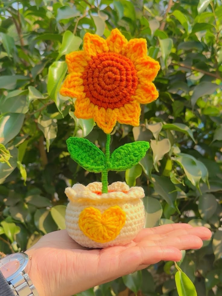 Crochet accessories
